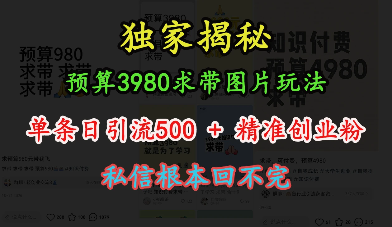 “小红书”预算3980求带 图片玩法，单条日引流500+精准创业粉，私信根本回不完-空域资源网