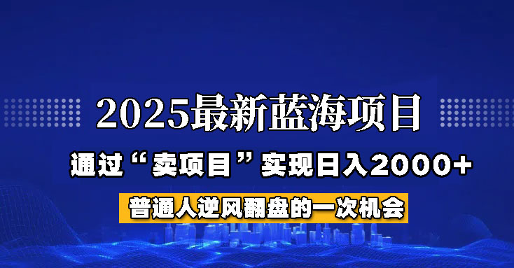 2025年蓝海项目，如何通过“网创项目”日入2000+-空域资源网