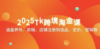 2025Tk跨境淘金课：涵盖养号、剪辑、店铺注册到选品、定价、营销等-空域资源网