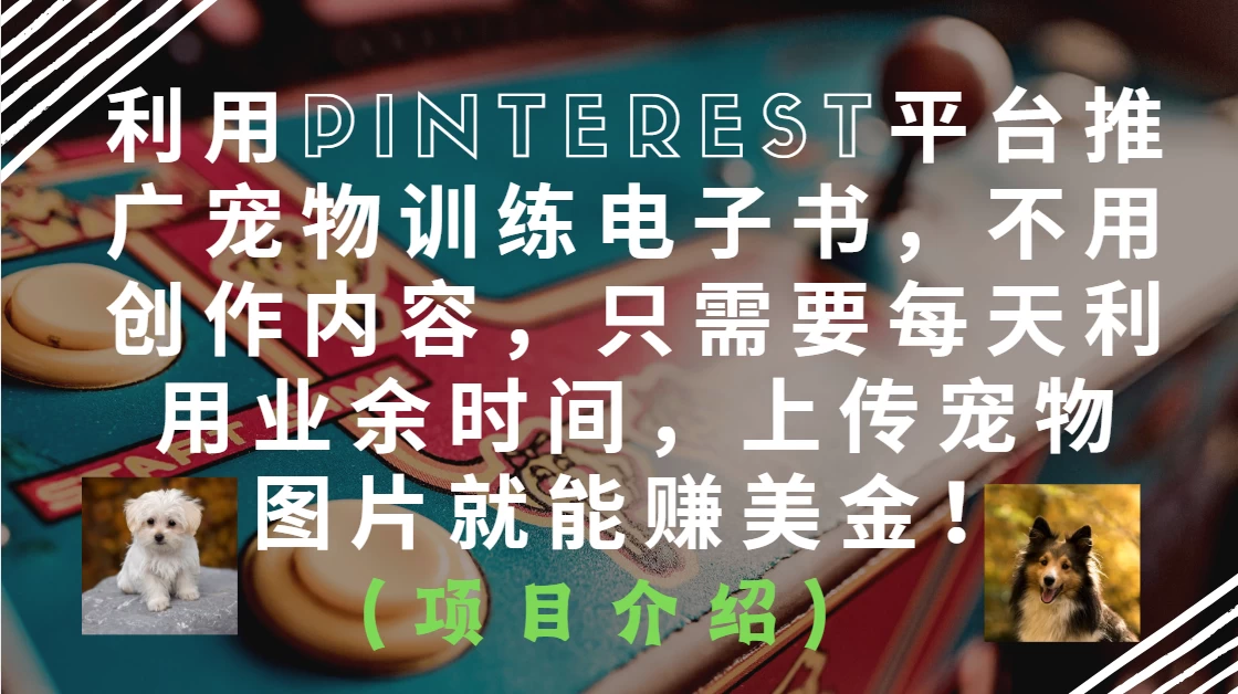 利用Pinterest平台推广宠物训练电子书，不用创作内容，只需要每天利用业余时间，上传宠物图片就能赚美金！-空域资源网