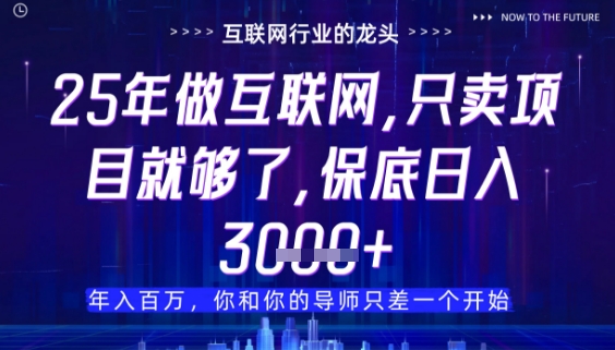 什么！25年你还在找项目做？风口早就变了，卖项目才是稳挣不赔【揭秘】-空域资源网