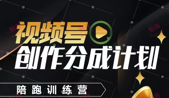 视频号创作分成计划陪跑训练营，手把手教会你如何制作视频，细水长流型项目-空域资源网
