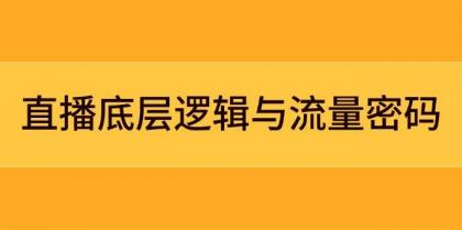 直播底层逻辑与流量密码：定位模型+案例拆解，急速流承接与数据优化全攻略-空域资源网