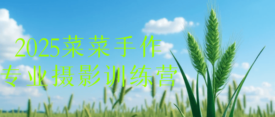 2025菜菜手作专业摄影训练营-空域资源网