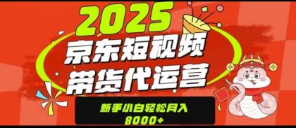 京东短视频带货项目（可代发视频）-空域资源网