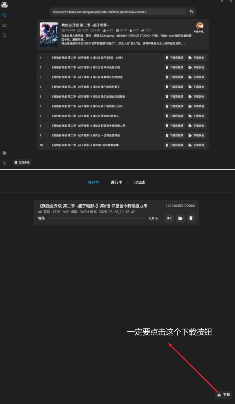 B站4K随便下这工具真行 支持大会员阿晔出山