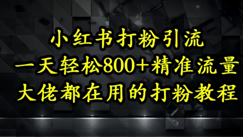 小红书打粉引流，一天轻松500+精准流量，大佬都在用的打粉教程-空域资源网