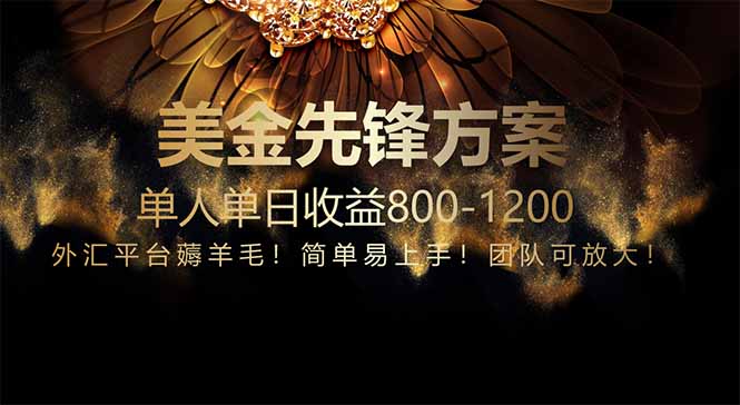 免费技术！小众赛道！一年布局抵三年努力，每日800+-空域资源网