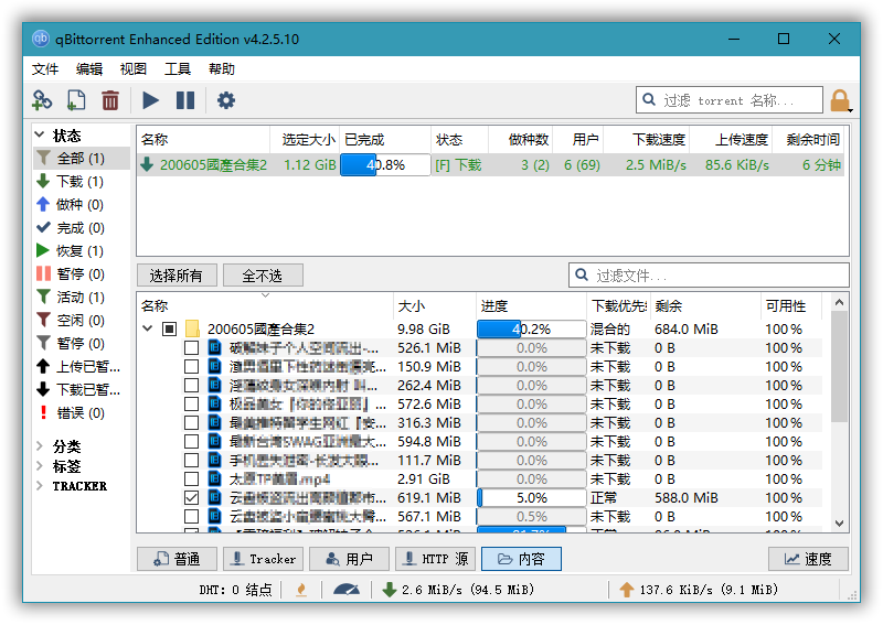 BT下载工具 qBittorrent v5.1.0.10 便携增强版-空域资源网