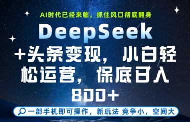 DeepSeek+头条变现，保姆级教学，小白轻松上手，日入8张+【揭秘】-空域资源网