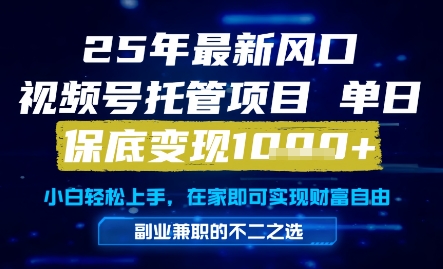 25年最新风口，视频号托管项目，单日保底变现1k+，手把手教学【揭秘】-空域资源网