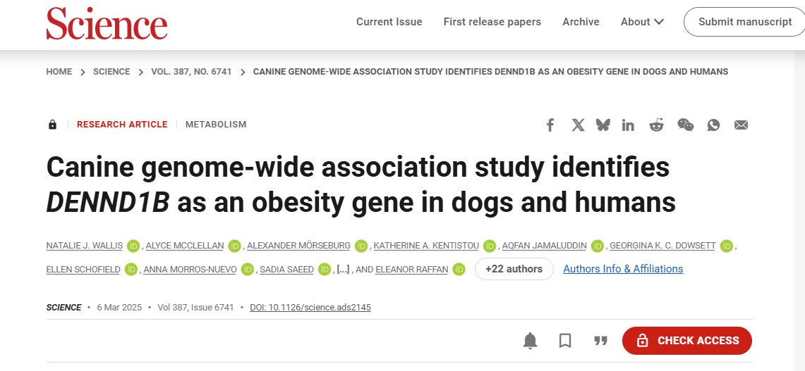 汪汪队立大功！科学家发现人犬通用“肥胖基因”-空域资源网