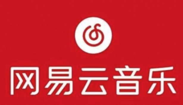 网易云音乐 解锁永久黑胶会员-空域资源网