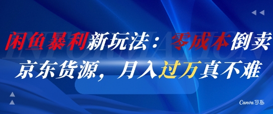 闲鱼暴利新玩法：零成本倒卖京东货源，月入过1W真不难-空域资源网