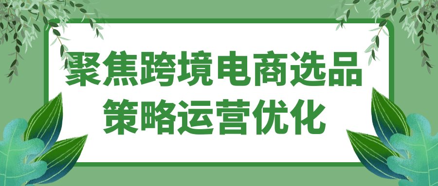 聚焦跨境电商选品策略运营优化-空域资源网