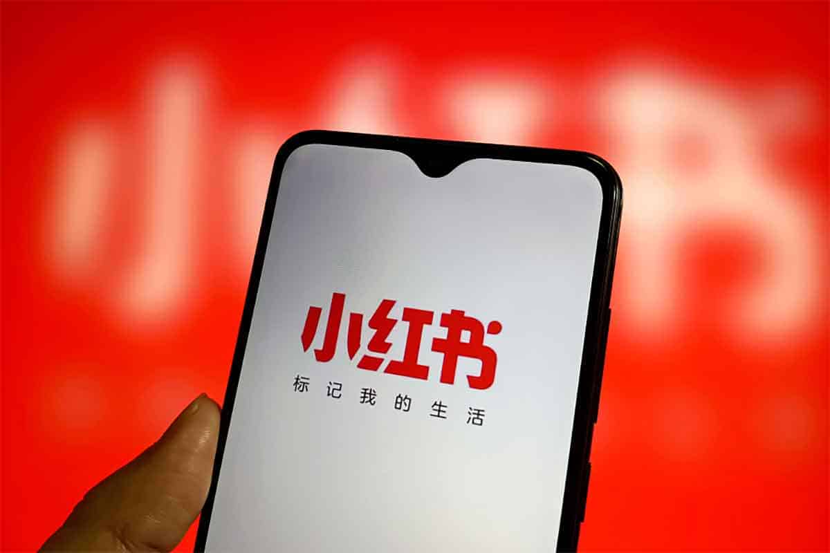 小红书电商从 0 到 1 实操运营课：零基础小白轻松上手，玩转笔记带货-空域资源网