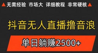 抖音无人直播6.0 简单无脑可矩阵 每天两小时轻松躺赚500+-空域资源网