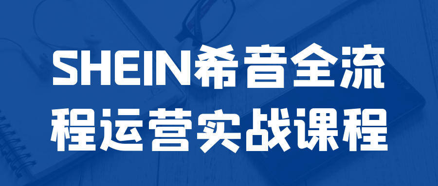 SHEIN希音全流程运营实战课程-空域资源网