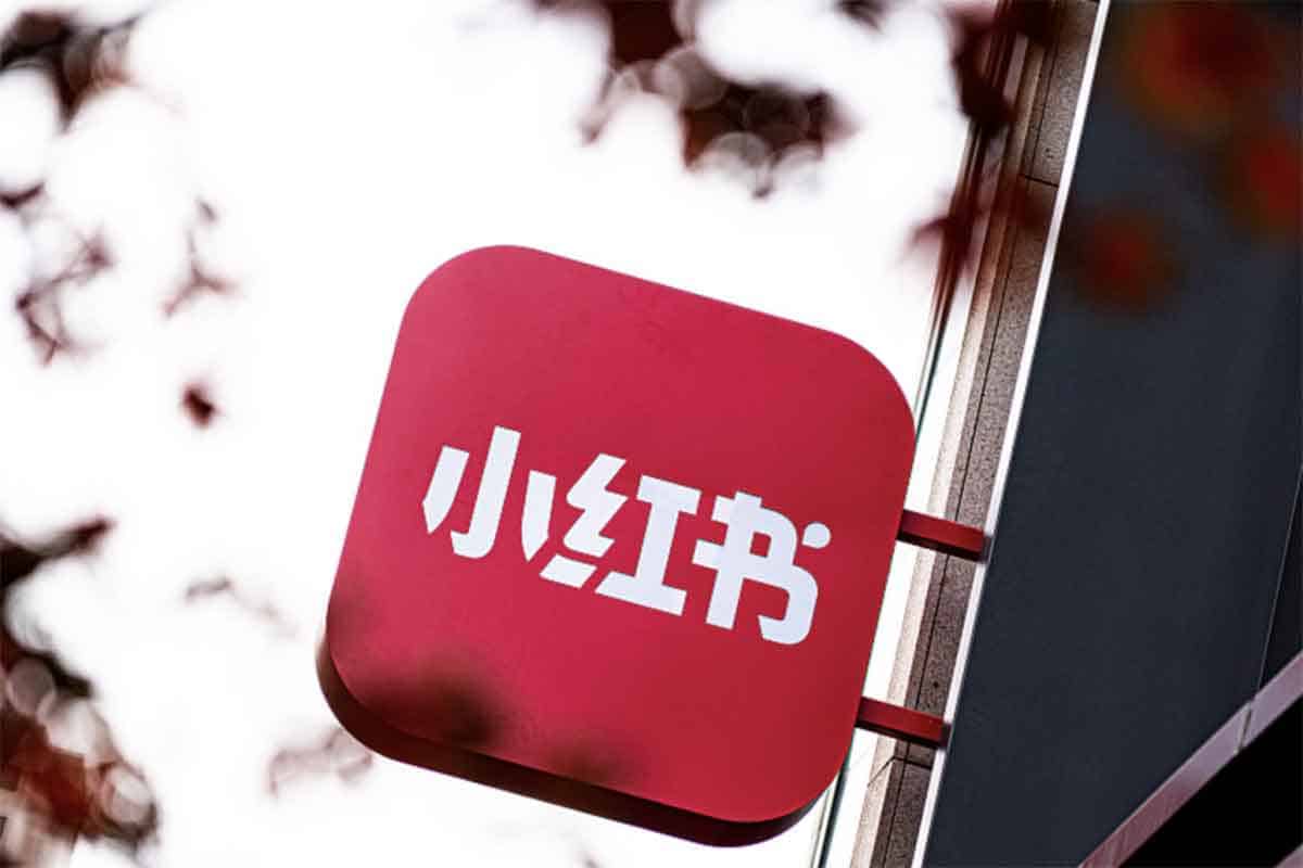 小红书电商自媒体创富课 2.0 版：从零到百万，解锁你的流量财富密码-空域资源网