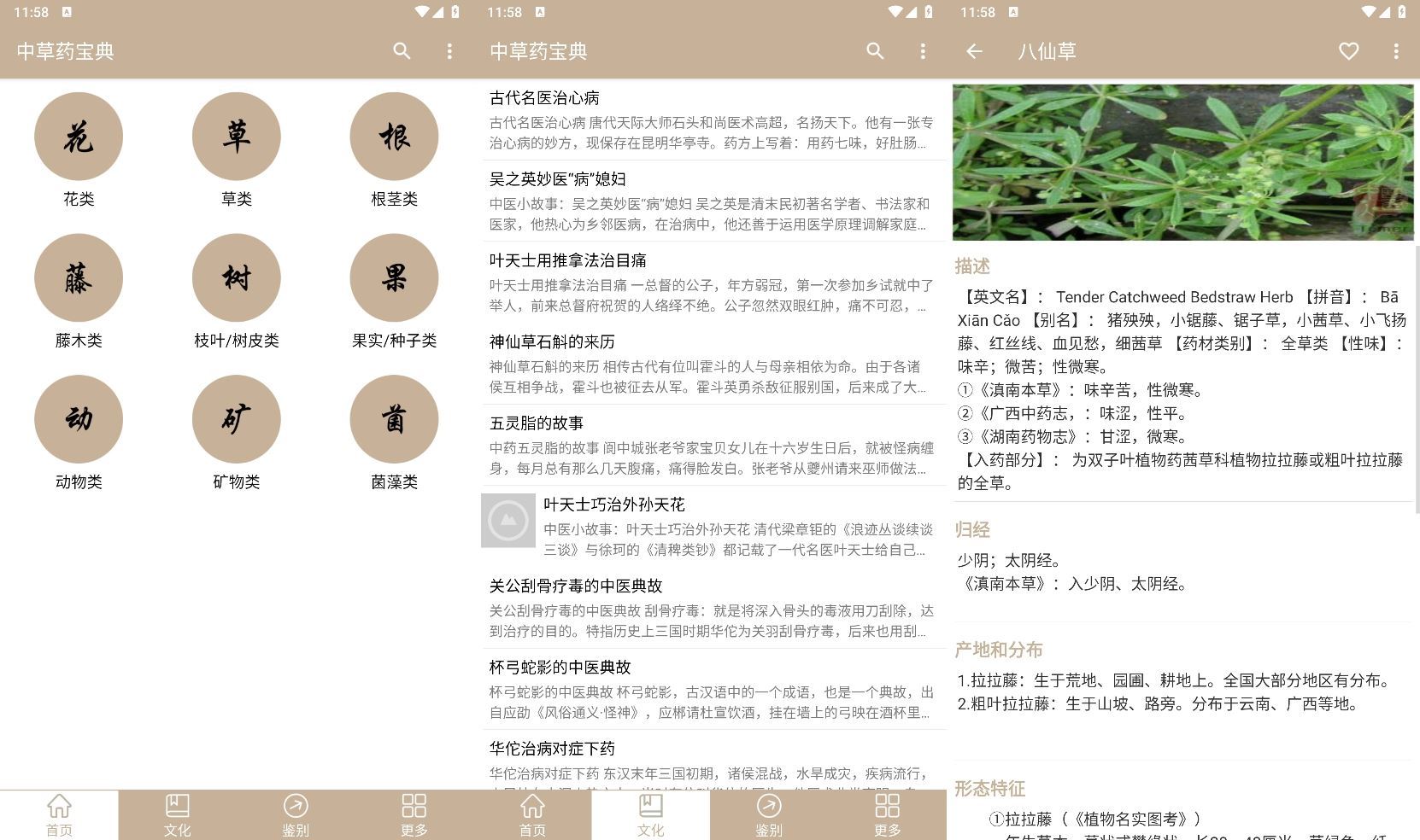 安卓中草药宝典v2.6.12纯净版