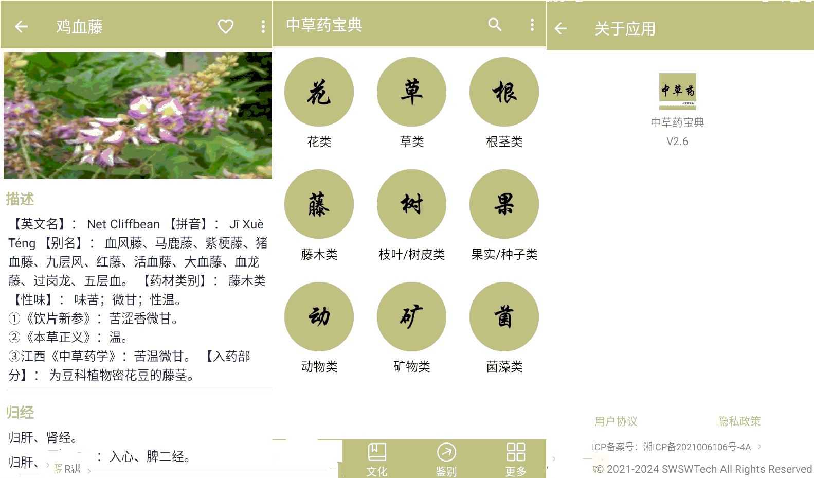 安卓中草药宝典 V2.6上千种中草药知识学习-空域资源网