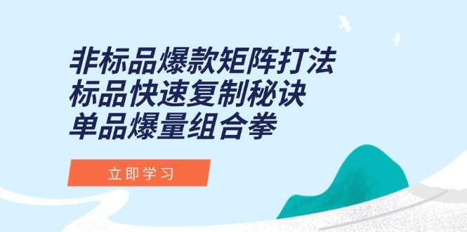 非标品爆款矩阵打法，标品快速复制秘诀，单品爆量组合拳-空域资源网