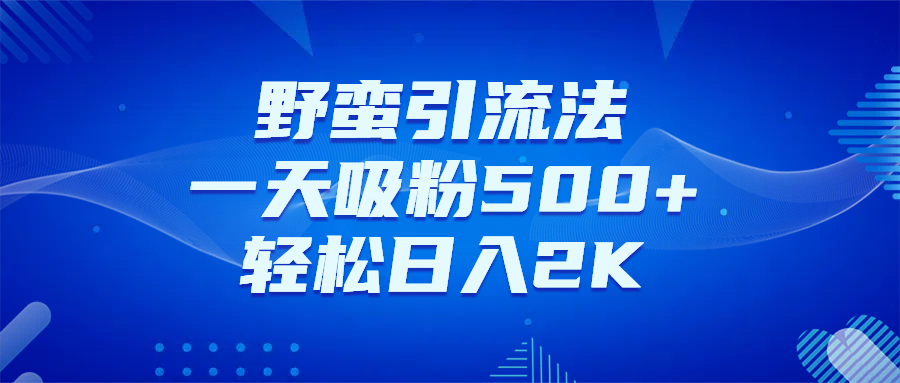 野蛮引流法，一天吸粉500+，轻松日入2K+-空域资源网