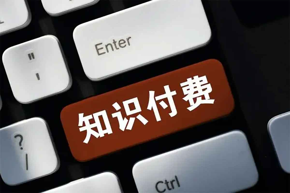 IP 合伙人知识付费虚拟项目：全链路引流变现，打造您的财富引擎-空域资源网