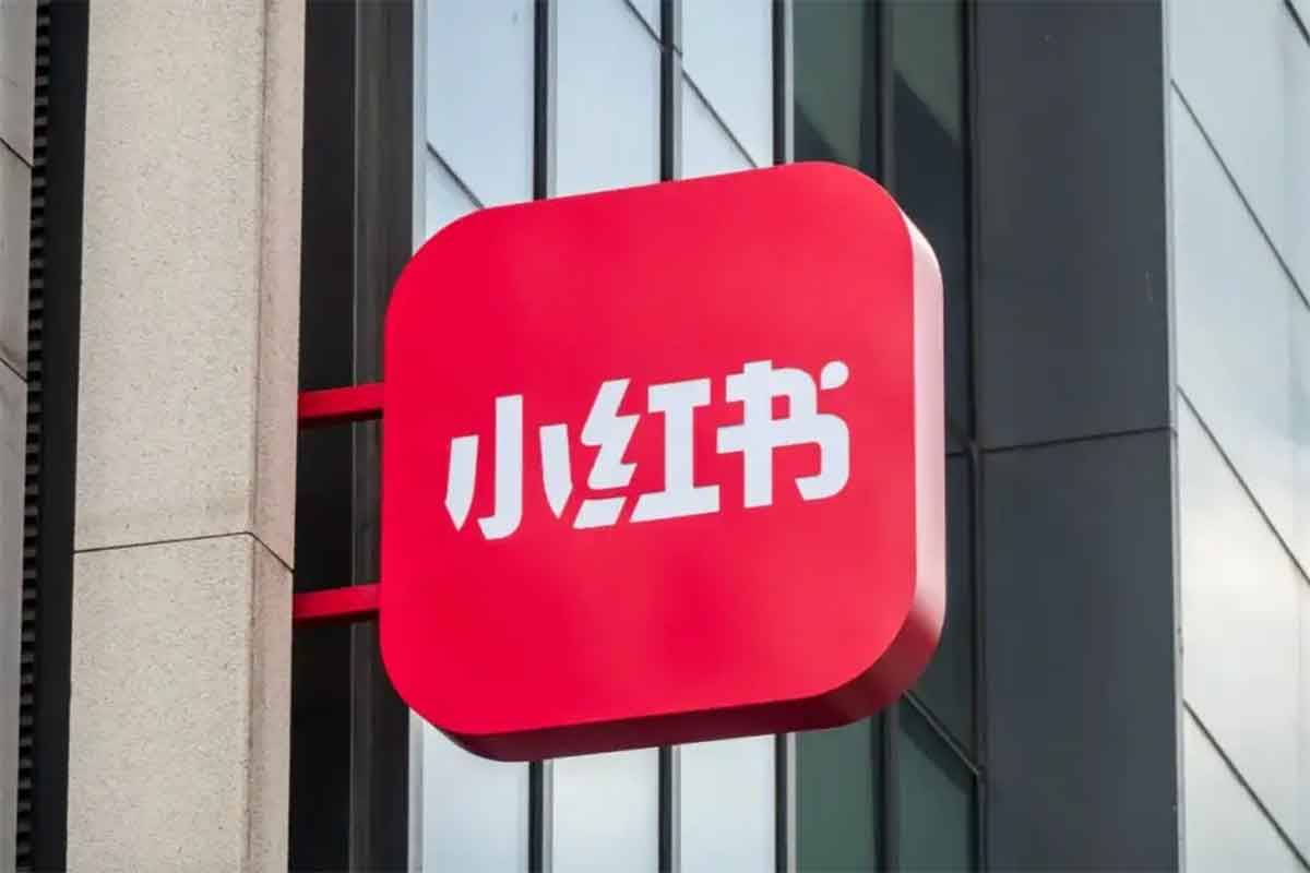 小红书电商项目：全流程拆解，助你掘金小红书！-空域资源网