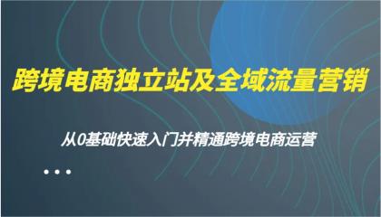 跨境电商独立站及全域流量营销，从0基础快速入门并精通跨境电商运营-空域资源网