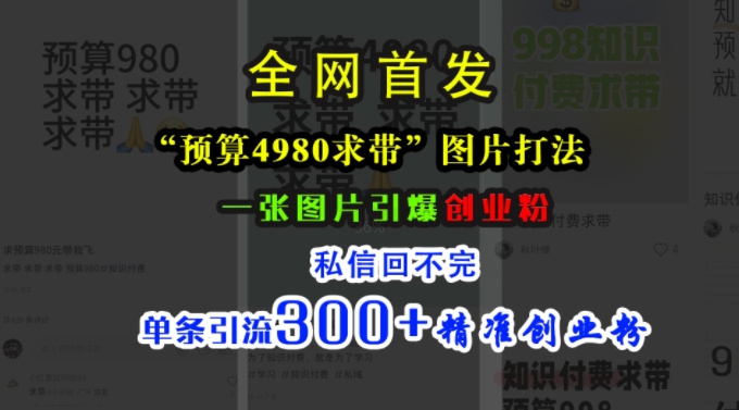 小红书“预算4980带我飞”图片打法，一张图片引爆创业粉，私信回不完，单条引流300+精准创业粉-空域资源网