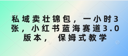 私域卖壮锦包，一小时3张，小红书蓝海赛道3.0版本， 保姆式教学-空域资源网