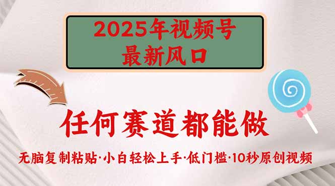 2025年视频号新风口，低门槛只需要无脑执行-空域资源网