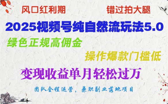 2025视频号纯自然流玩法5.0，绿色正规高佣金，操作爆款门槛低，变现收益单月轻松过万-空域资源网