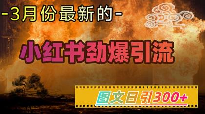 小红书的超劲爆引流方法方式，图文并茂日引300 轻轻松松转现1W-空域资源网