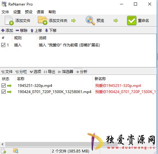 文件批量重命名工具ReNamer v7.7.0.1绿色便携版-空域资源网