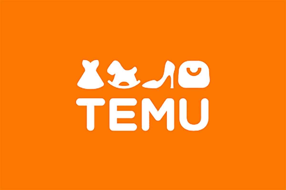 Temu跨境电商实战营：从零到一-空域资源网