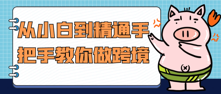 从小白到精通手把手教你做跨境-空域资源网