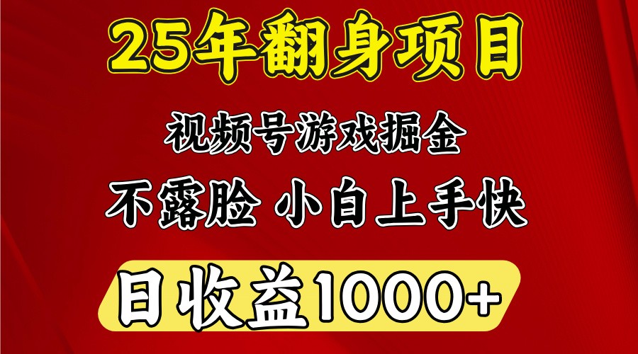 一天收益1000+ 25年开年落地好项目-空域资源网