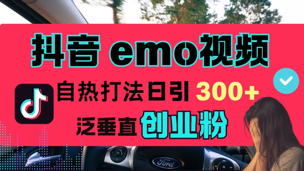 抖音“EMO视频”自热流打法，日引300+泛垂直创业粉-空域资源网