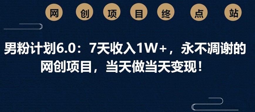 男粉计划6.0：7天收入1W+，永不凋谢的网创项目，当天做当天变现！-空域资源网