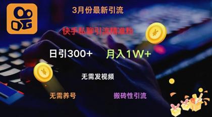 快手视频私信引流方法精准粉，当日奏效不用上传视频打金引流法日引300-空域资源网