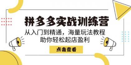 拼多多实战训练营，从入门到精通，海量玩法教程，助你轻松起店盈利-空域资源网