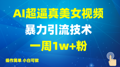 2025AI超真实美女丝袜暴力行为引流方法，一周1w 粉，使用方便小白可做，躺着赚钱视频收益-空域资源网